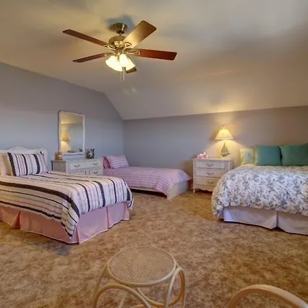 Dreamland II Bed And Breakfast-3